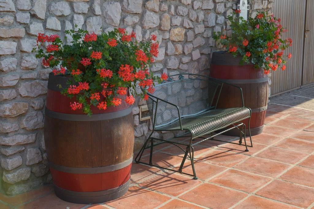 Kogoj Agroturismo *